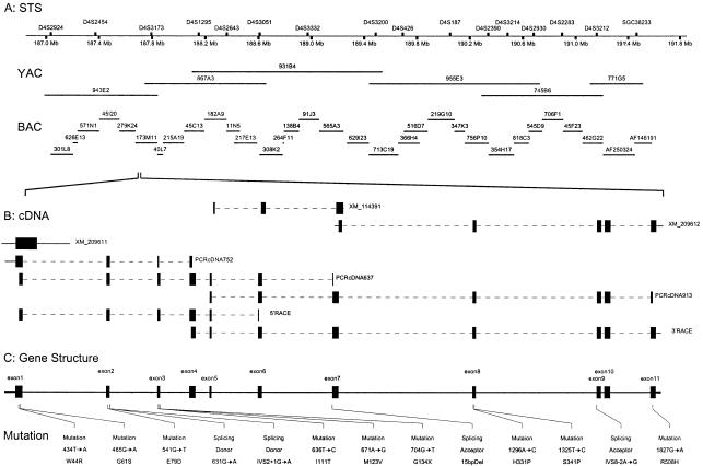 Figure  2