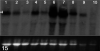 Figure 15