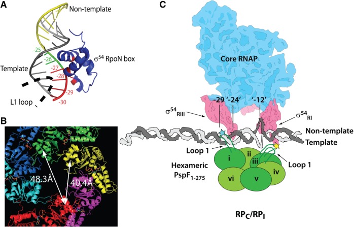 Figure 10.