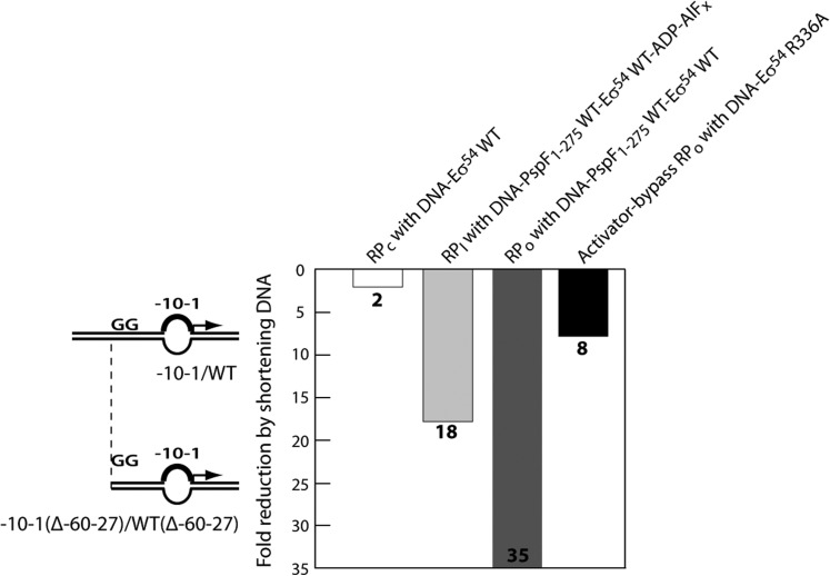 Figure 9.