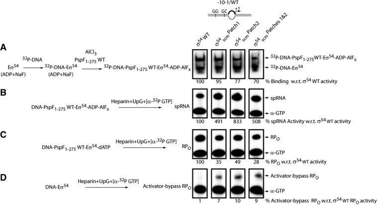 Figure 5.