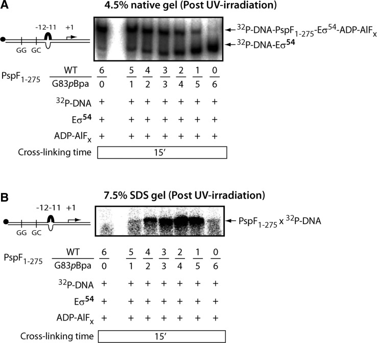 Figure 6.