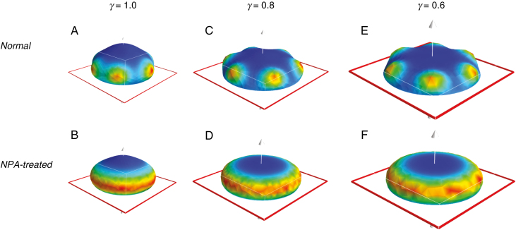 Fig. 3.