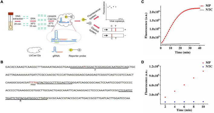 FIGURE 1