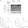 Figure 1—figure supplement 2.