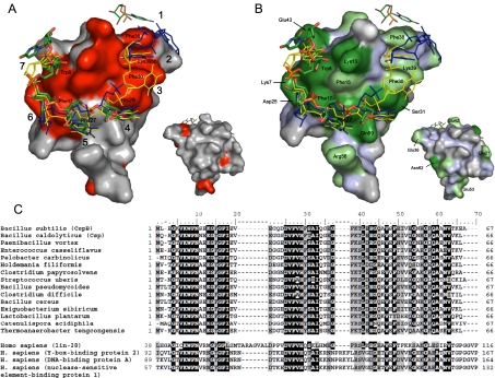 FIGURE 6.