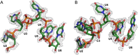 FIGURE 4.