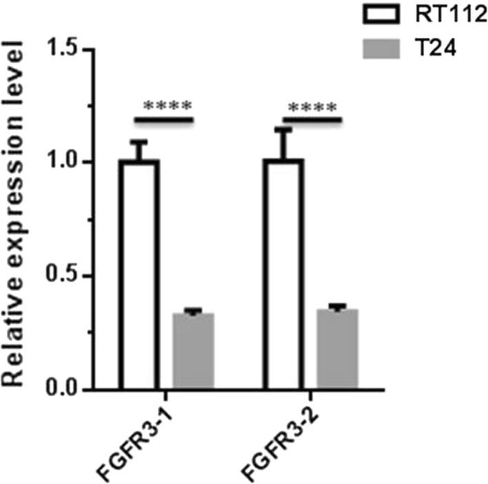 Fig. 6