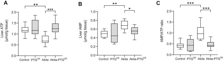 Figure 5