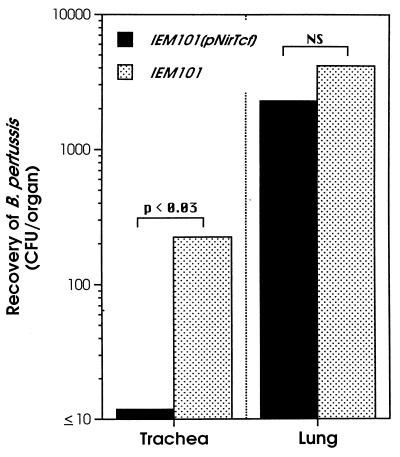 FIG. 9