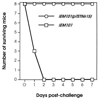 FIG. 8