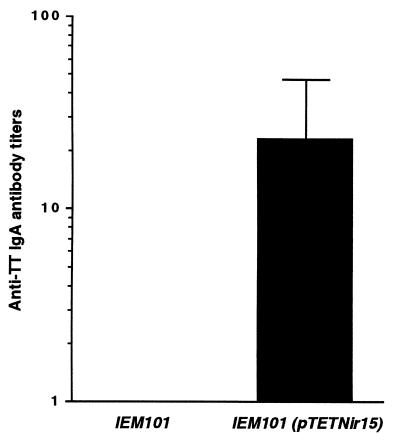 FIG. 7