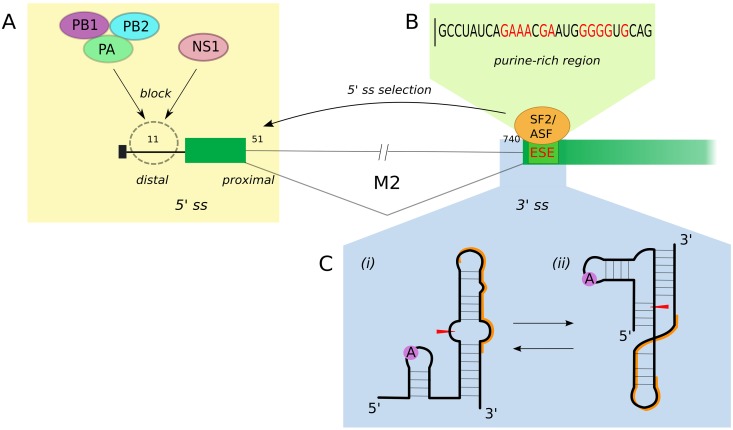 FIG 4 