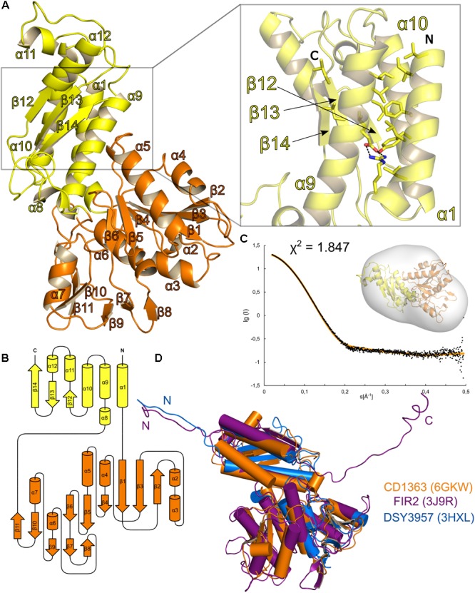 FIGURE 3