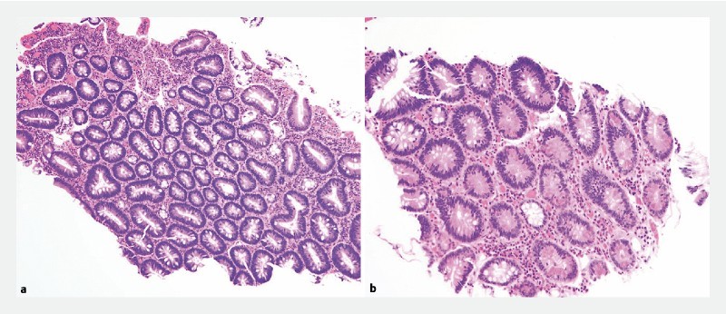 Fig. 4 