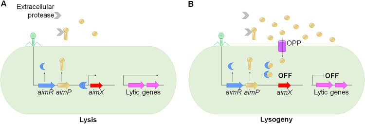 FIG 2