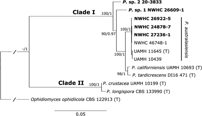 FIGURE 2