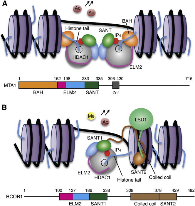 Figure 7