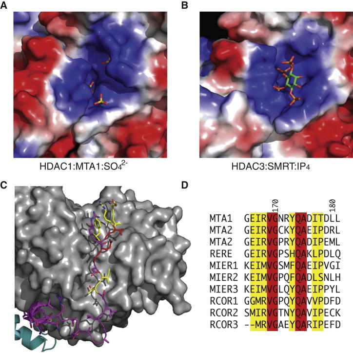 Figure 2