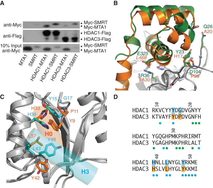 Figure 6