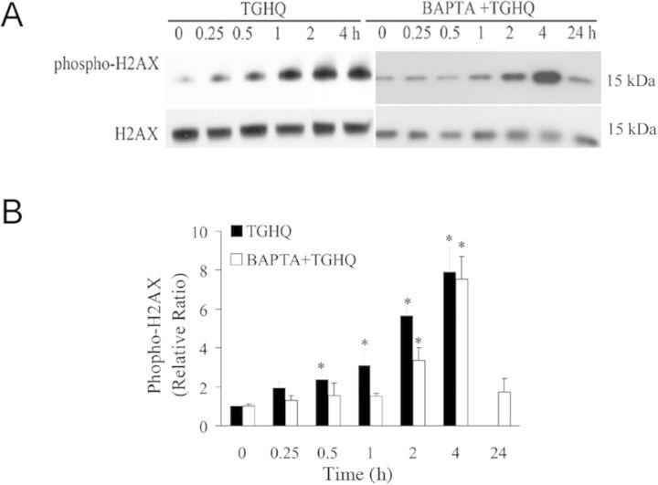 Fig. 11.