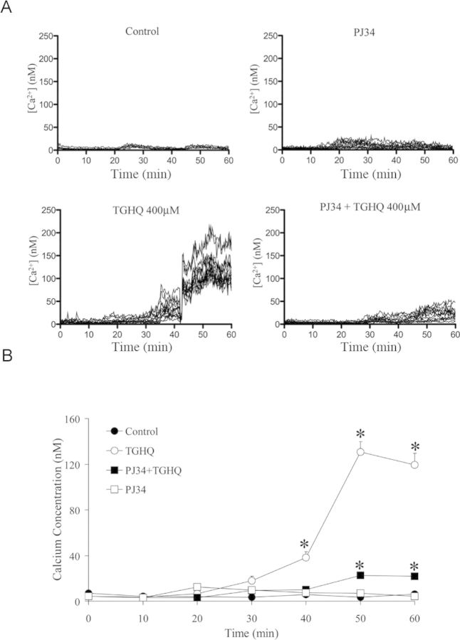 Fig. 13.