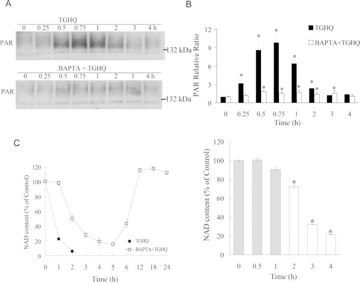 Fig. 12.