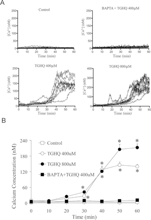 Fig. 8.