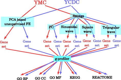 Fig. 8