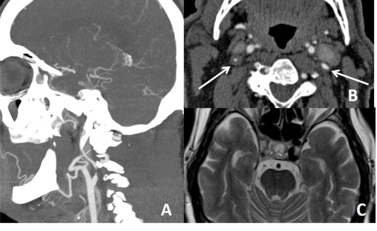 Fig. (7)