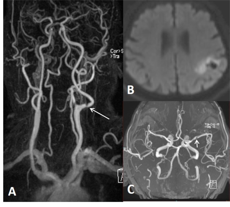 Fig. (5)