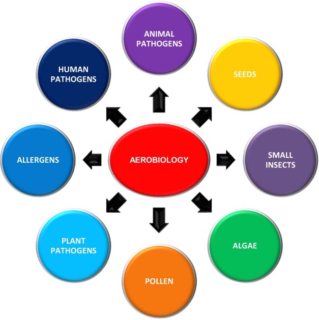 Fig 1