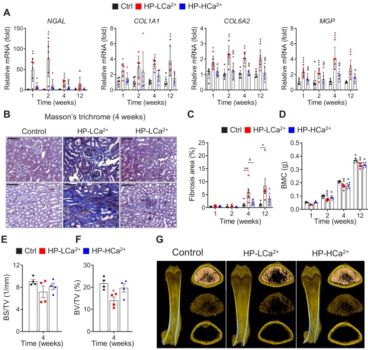 Figure 5—figure supplement 4.