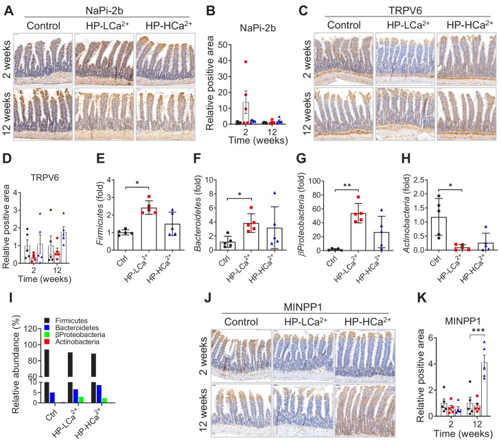 Figure 5—figure supplement 2.