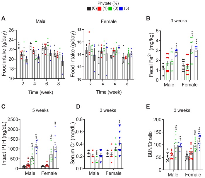 Figure 1—figure supplement 1.