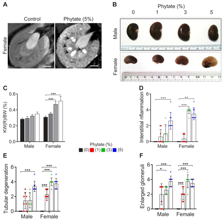 Figure 2—figure supplement 1.