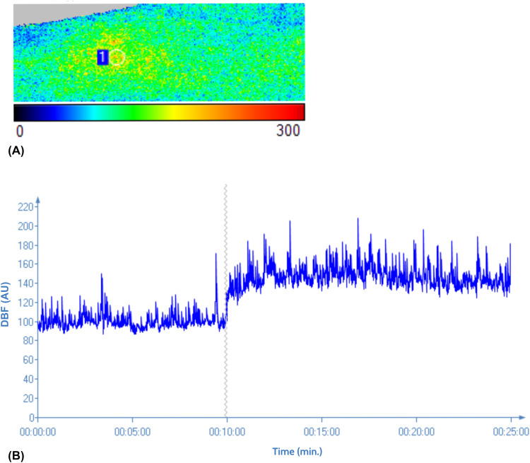 Figure 5