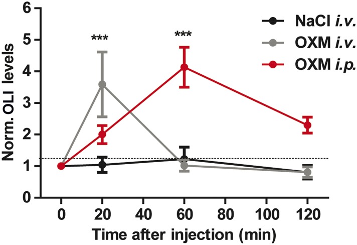 Figure 6—figure supplement 1.