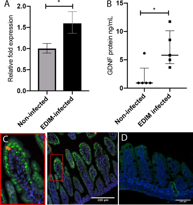 FIG 6