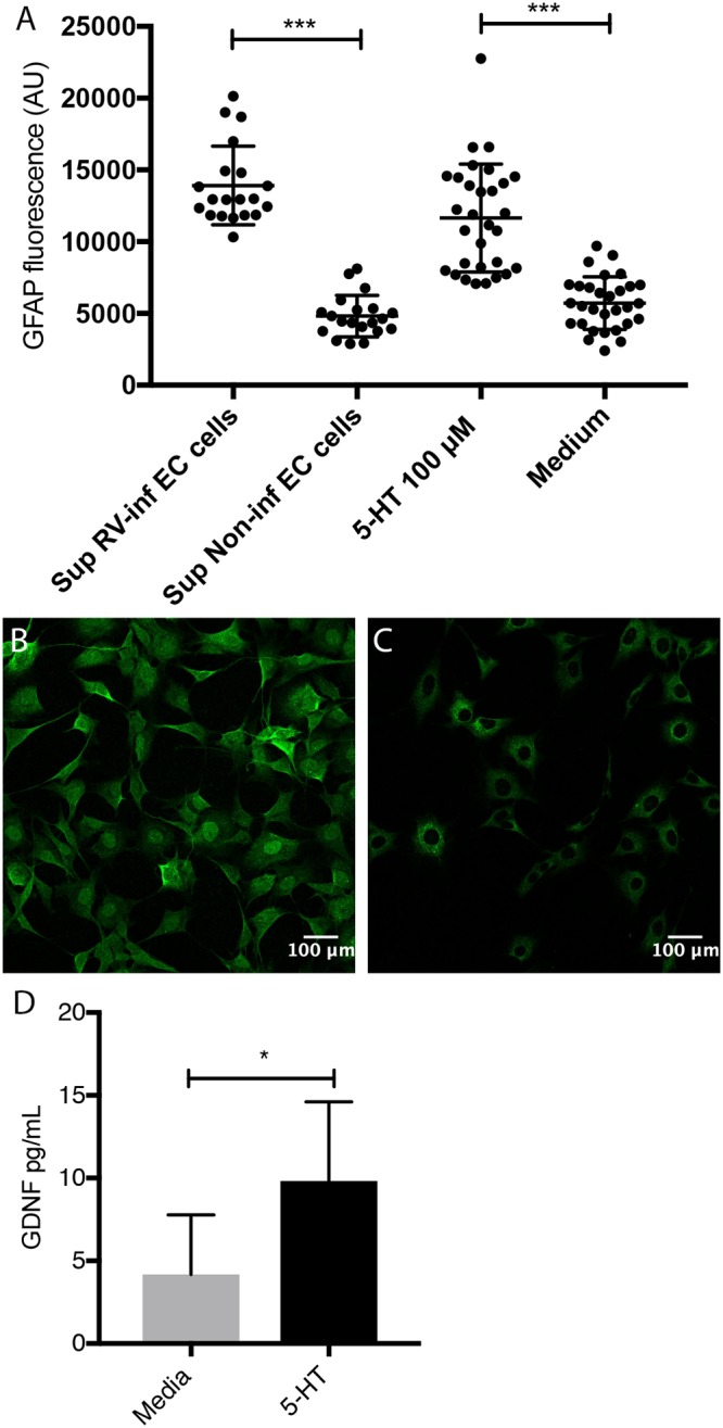 FIG 3