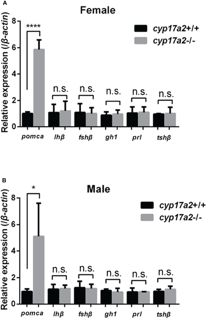 Figure 7