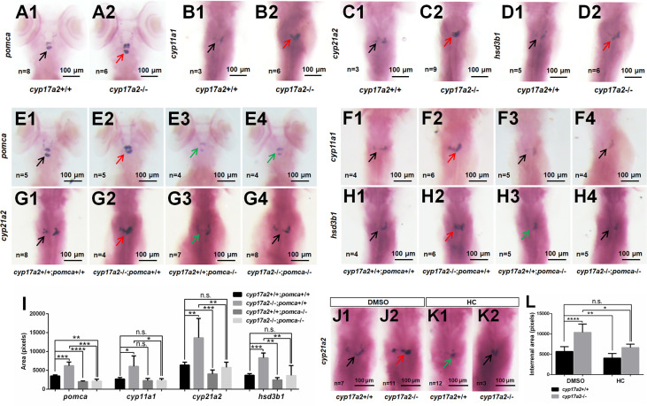 Figure 2