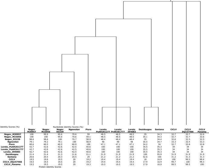 Fig 6