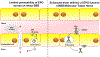 Fig 2.