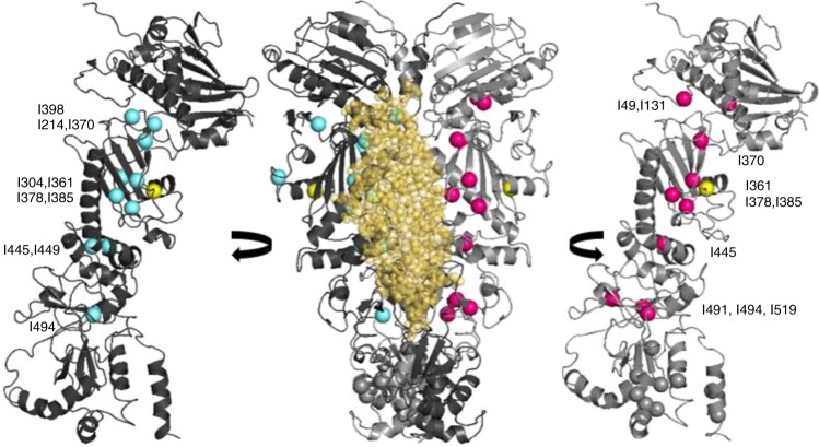 Fig. 6