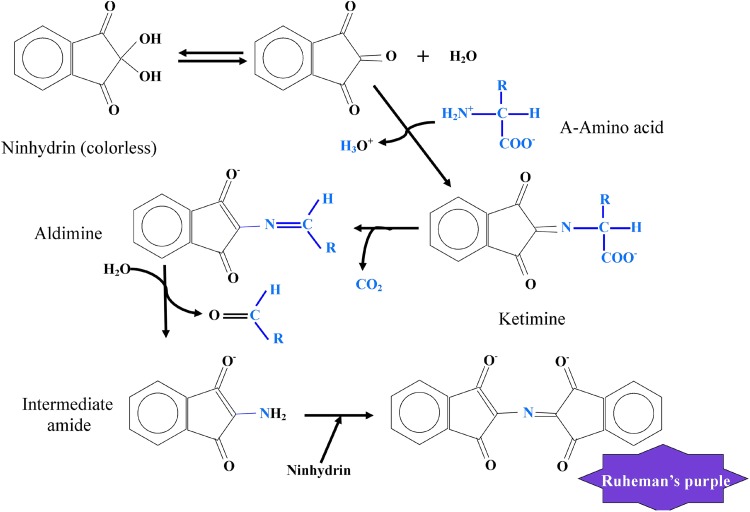 Fig. 1