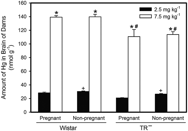 Fig. 8.