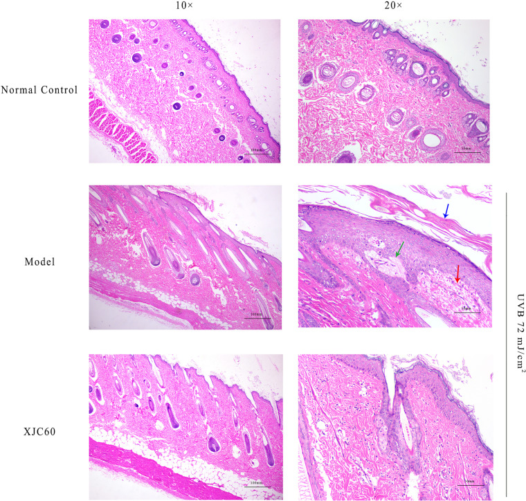 Figure 6