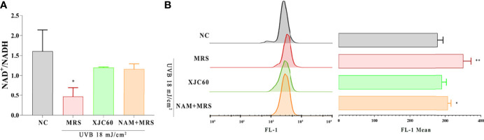 Figure 4