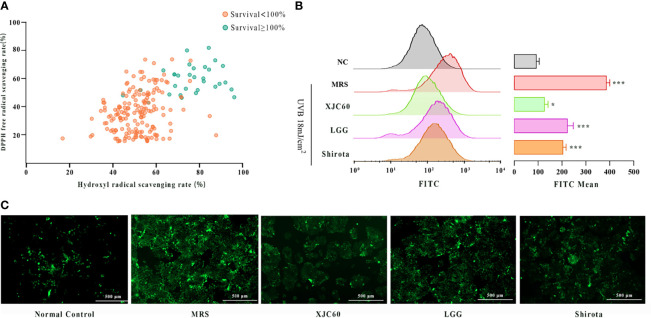 Figure 2